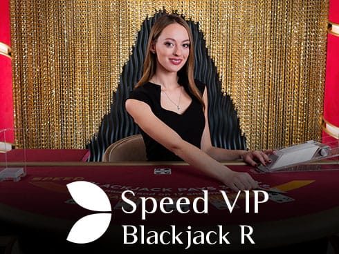 اسپیڈ وی آئی پی بلیک جیک game thumbnail